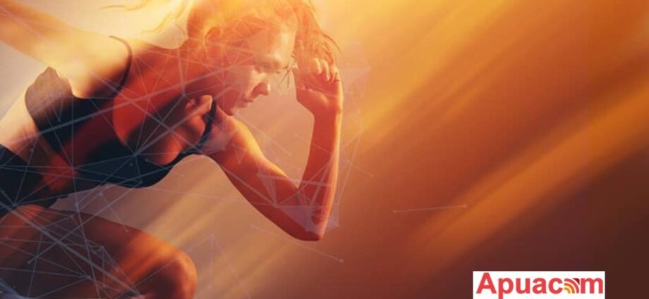 Apuacom, marchio BrainBox